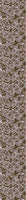 patterned-wallpaper-romantic-tendrillars