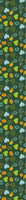 patterned-wallpaper-tutti-frutti