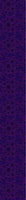 patterned-wallpaper-boheme-hanoi-night