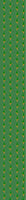 patterned-wallpaper-thorny-green