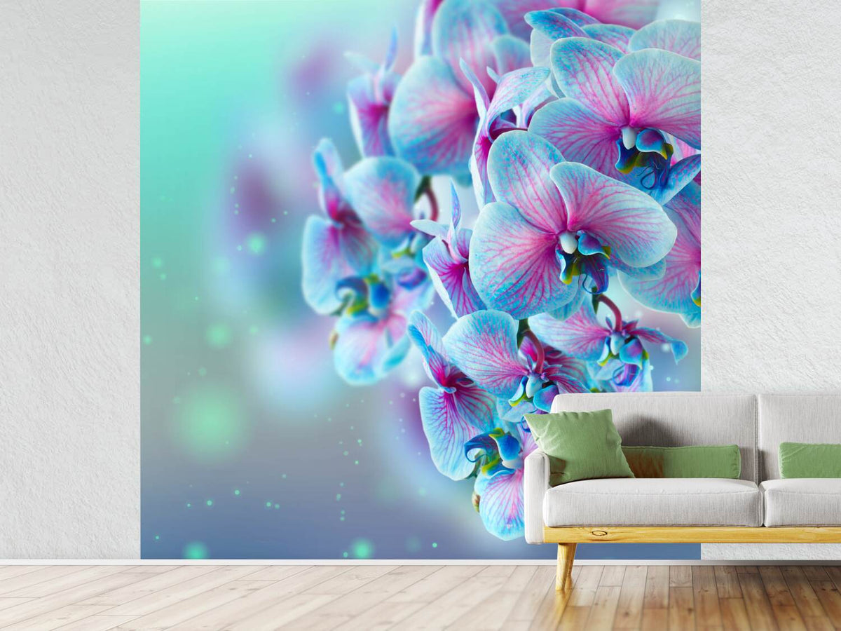 photo-wallpaper-colored-orchids