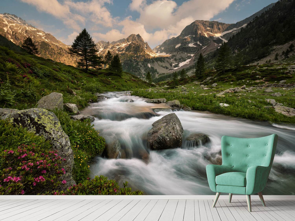 photo-wallpaper-maritime-alps-park-x