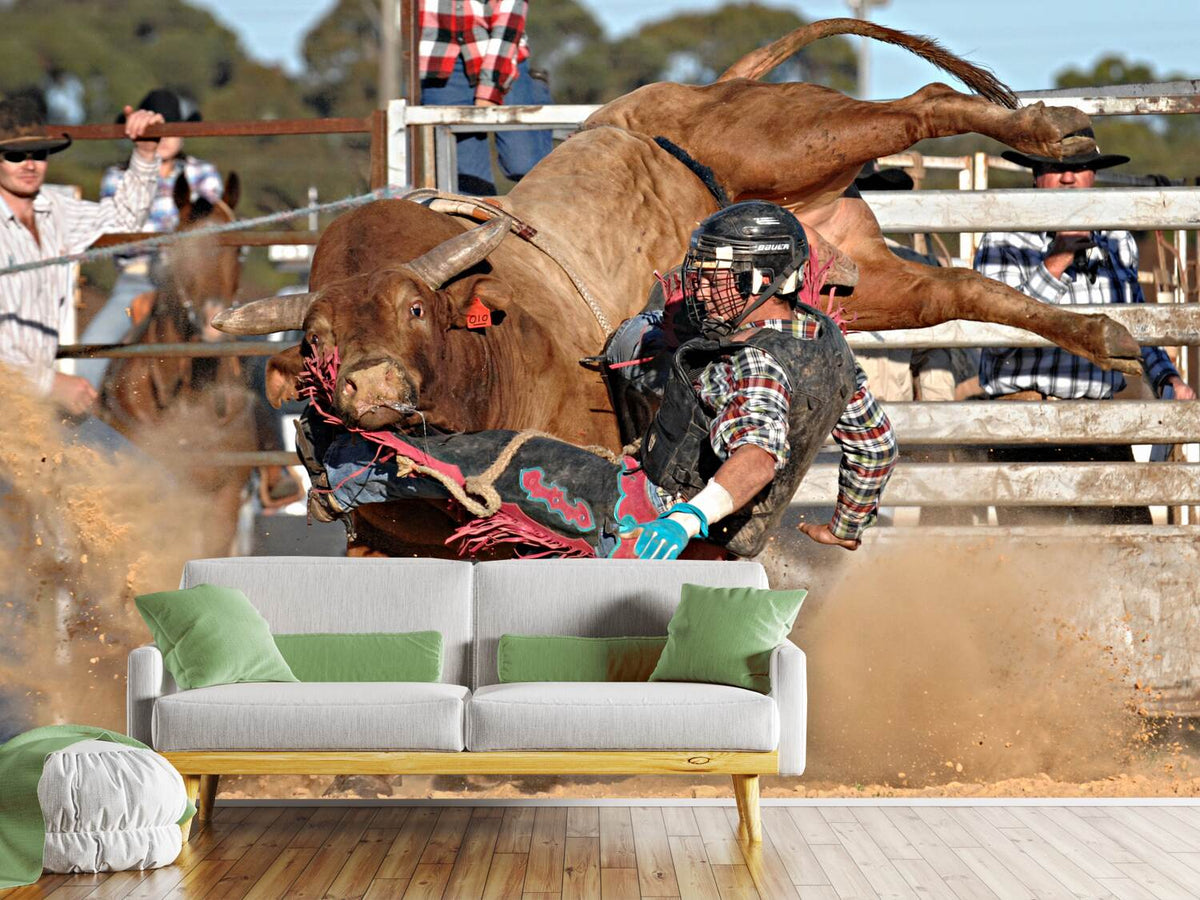 photo-wallpaper-bull-ride