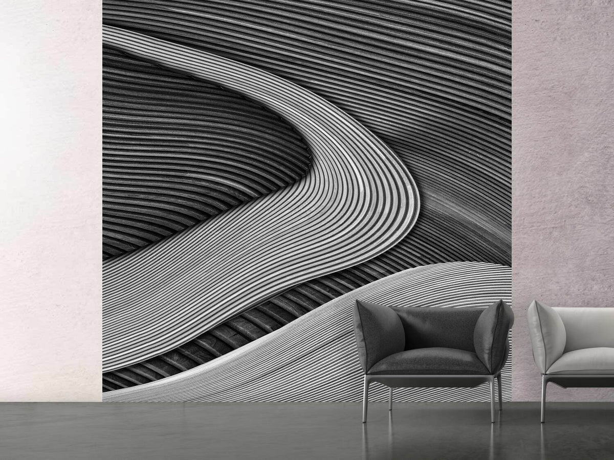 photo-wallpaper-the-wood-project-ii