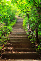 photo-wallpaper-wood-stairs