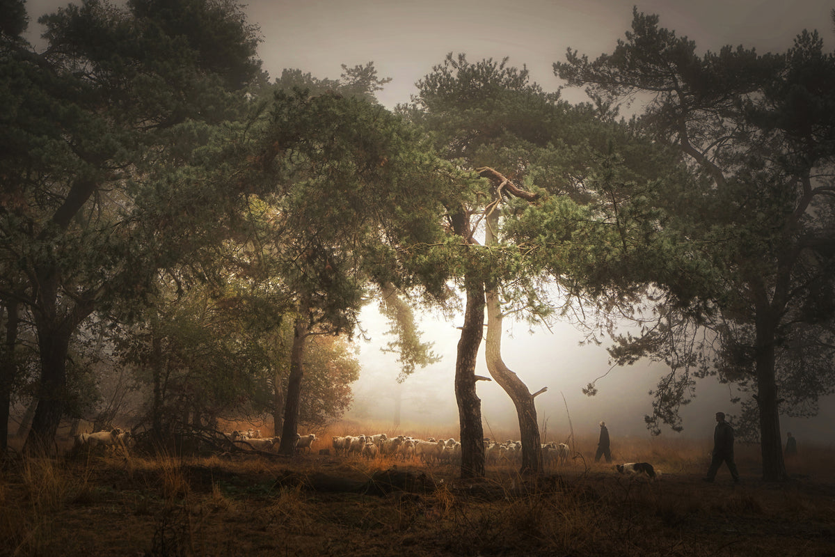 photo-wallpaper-foggy-memory-of-the-past-iii