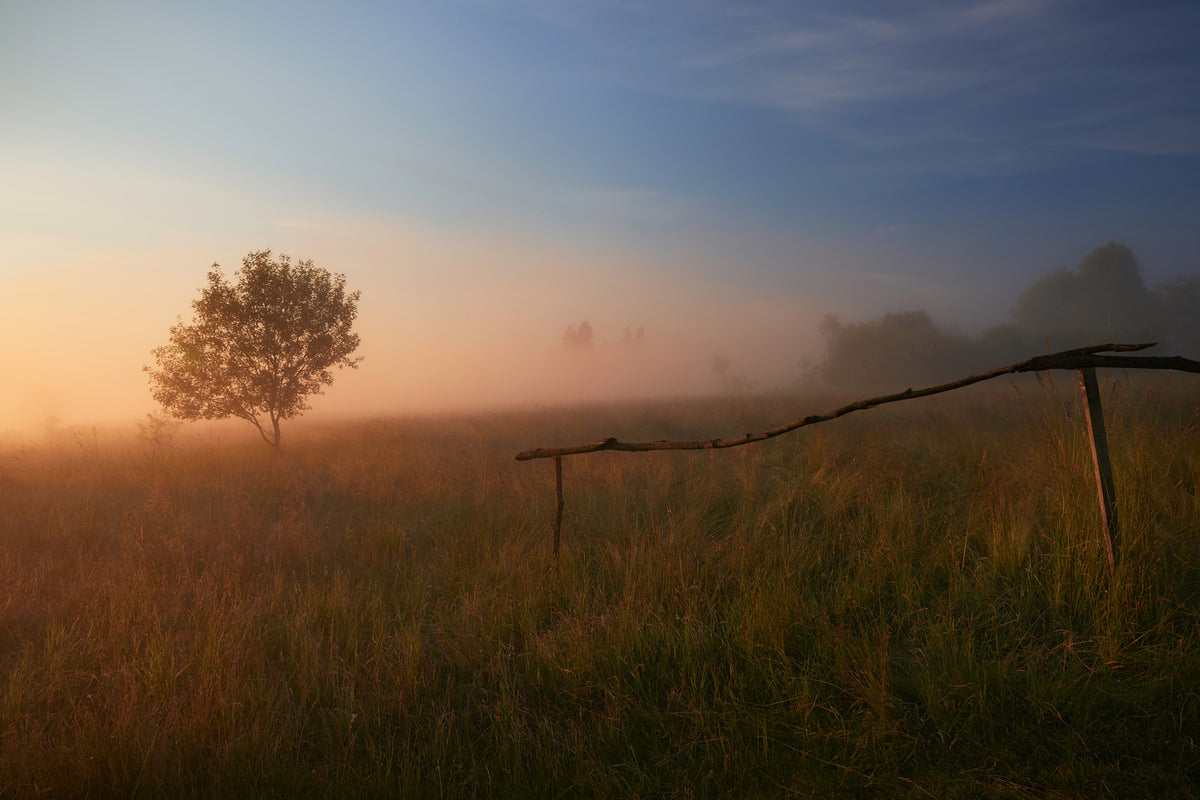 photo-wallpaper-the-summer-field