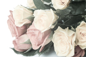 photo-wallpaper-romantic-rose