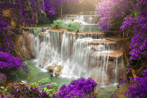 photo-wallpaper-photowallpaper-garden-eden