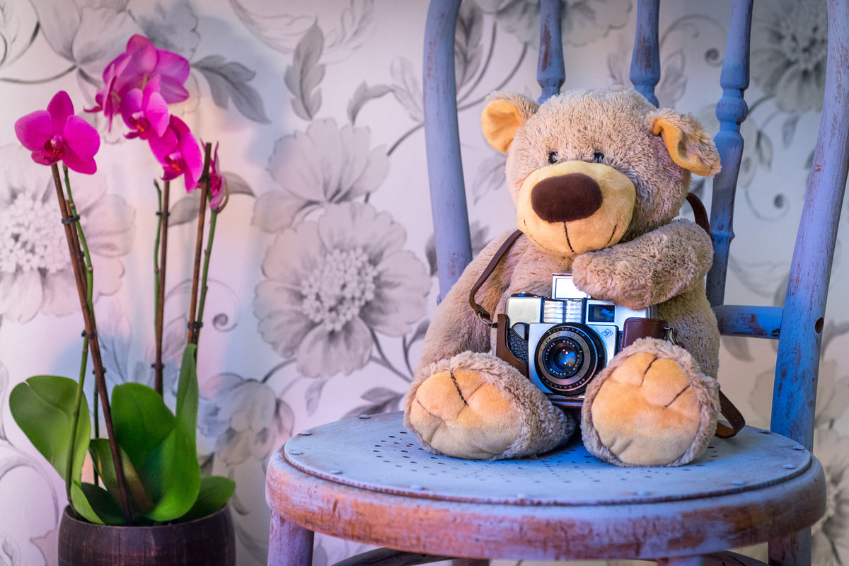 photo-wallpaper-camera-teddy-bear