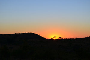 photo-wallpaper-sunset-in-africa