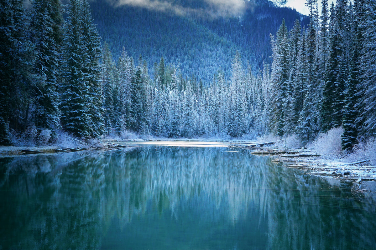 photo-wallpaper-wonder-winter-land-x