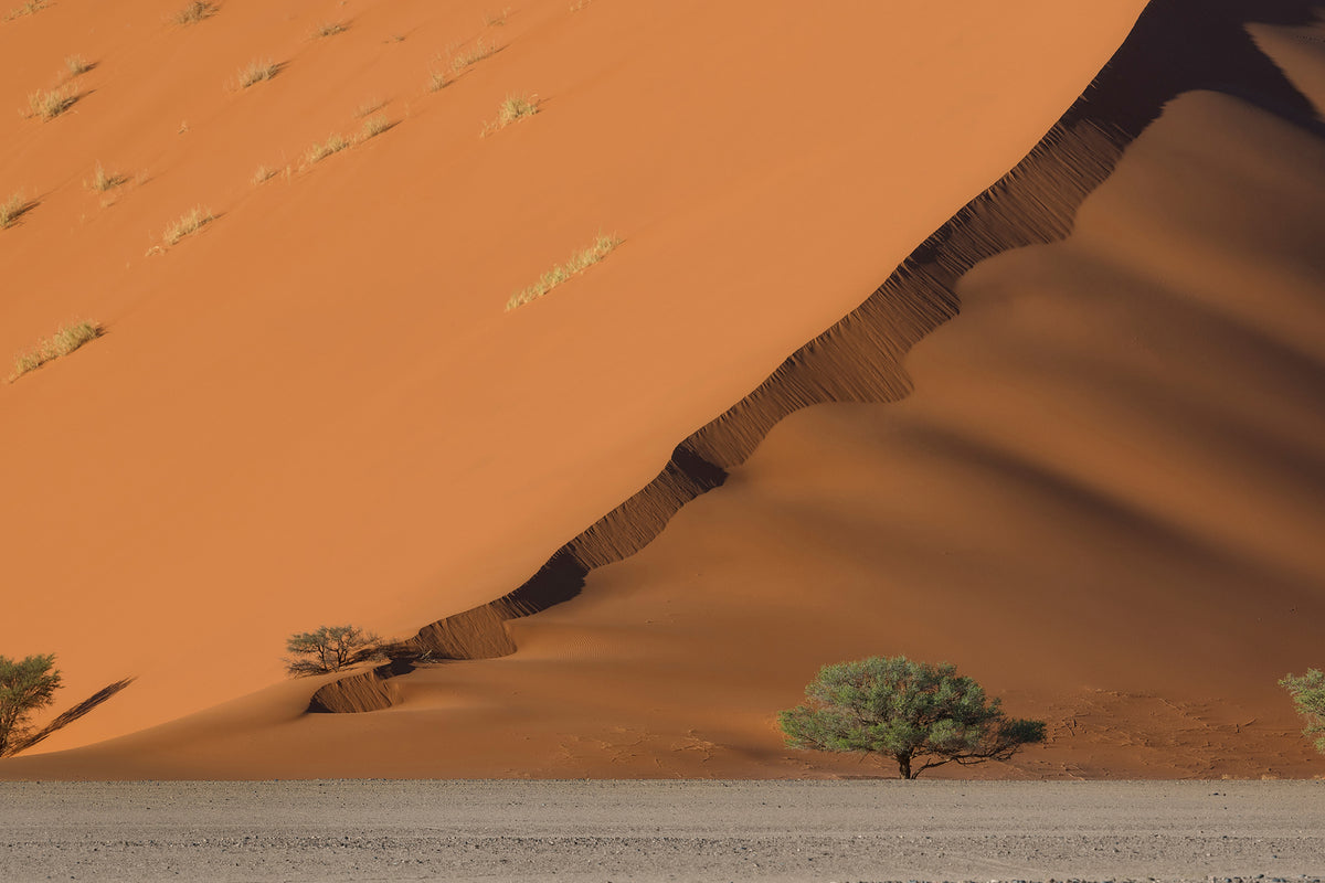 photo-wallpaper-dune-y