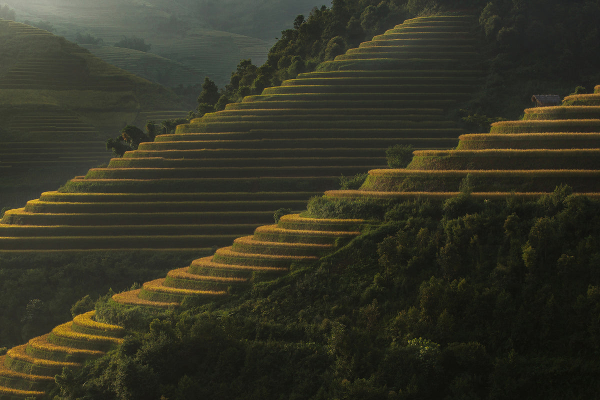 photo-wallpaper-landing-fields-at-sunrise-beautiful-golden-light-shines