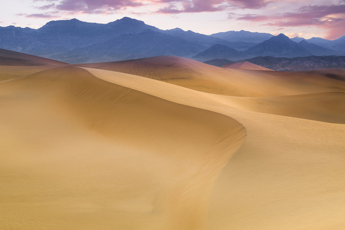 photo-wallpaper-mesquite-flat-sand-dunes-x