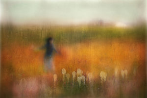 photo-wallpaper-a-girl-and-bear-grass