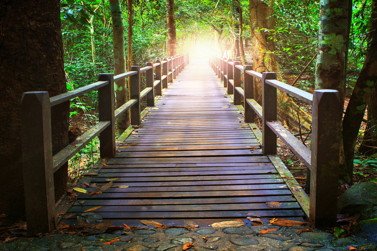 photo-wallpaper-the-bridge-in-the-forest