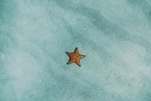 photo-wallpaper-the-little-starfish