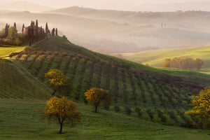 photo-wallpaper-tutte-le-strade-portano-a-belvedere