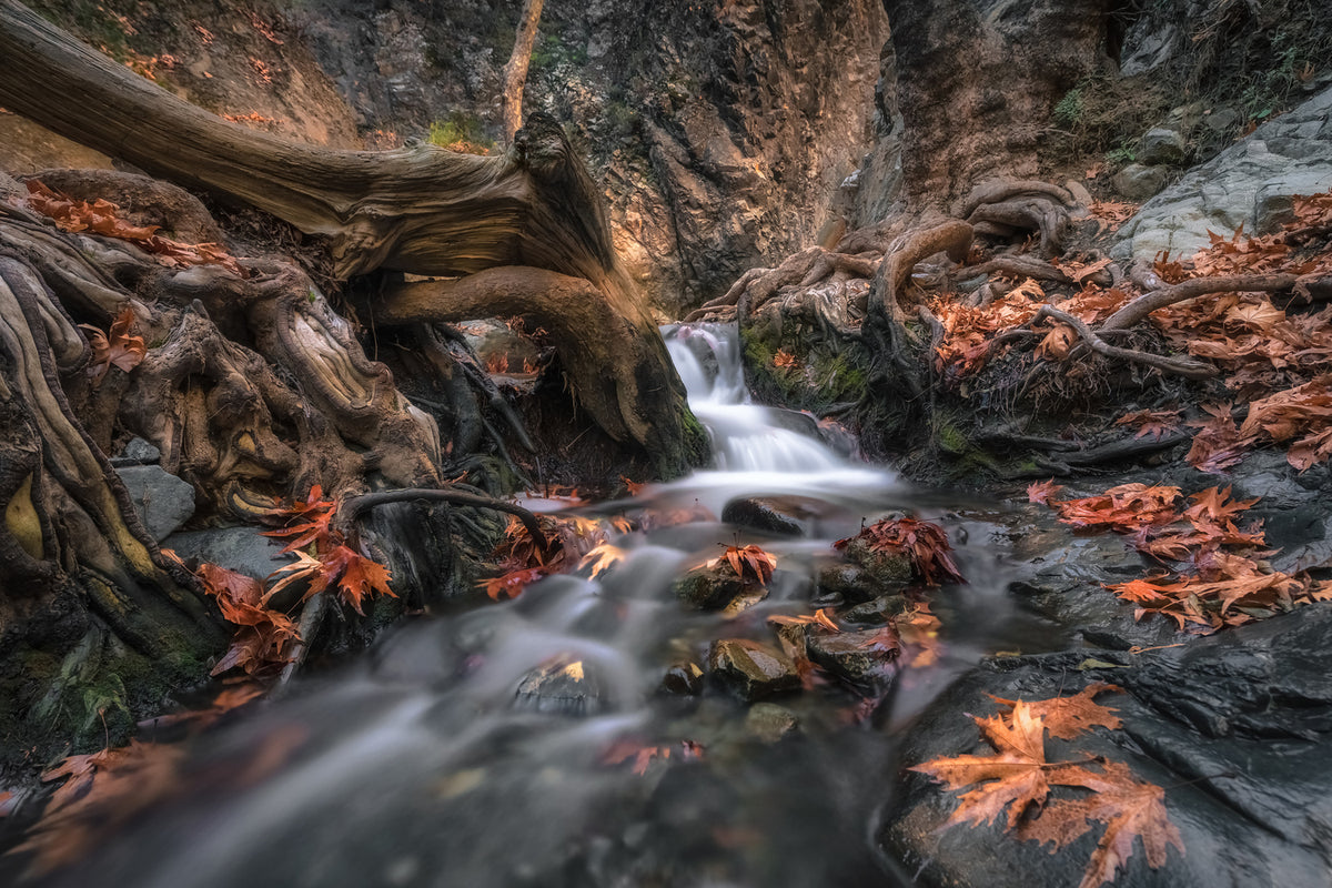 photo-wallpaper-autumn-cascade-x