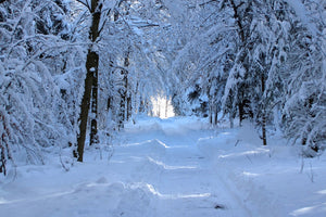 photo-wallpaper-finally-winter