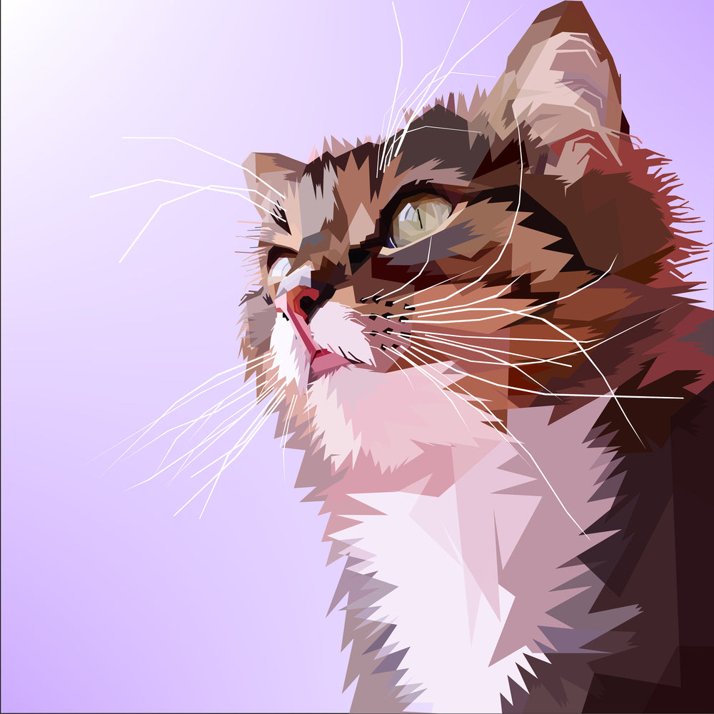 photo-wallpaper-pop-art-cats-portrait