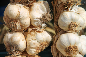 photo-wallpaper-the-garlic-xl