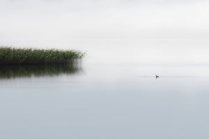 photo-wallpaper-the-lone-fisher-x