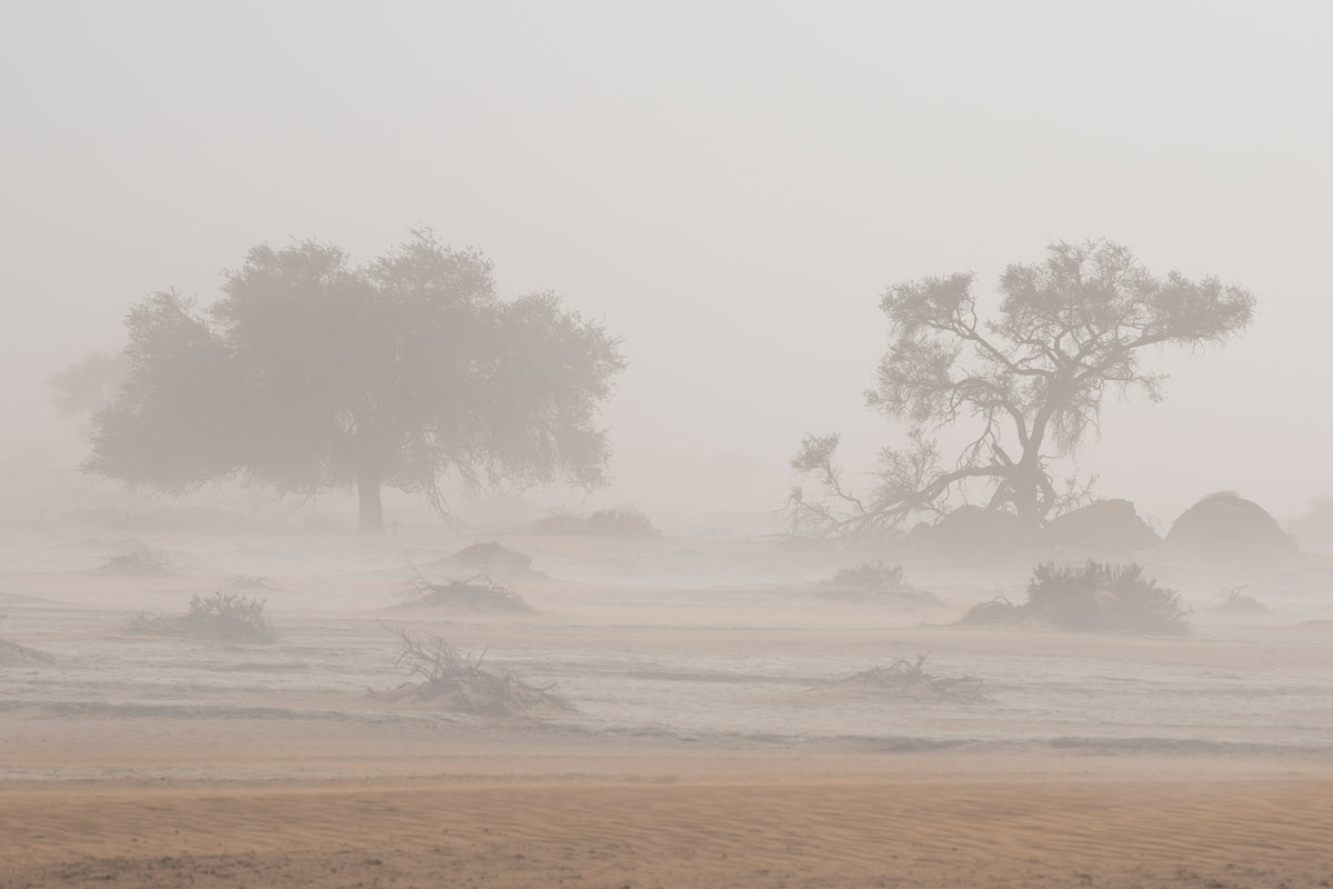 photo-wallpaper-desert-storm-x