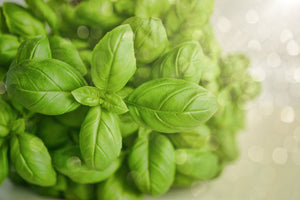 photo-wallpaper-a-bouquet-of-basil