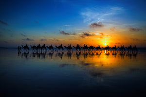 photo-wallpaper-sunset-camel-ride