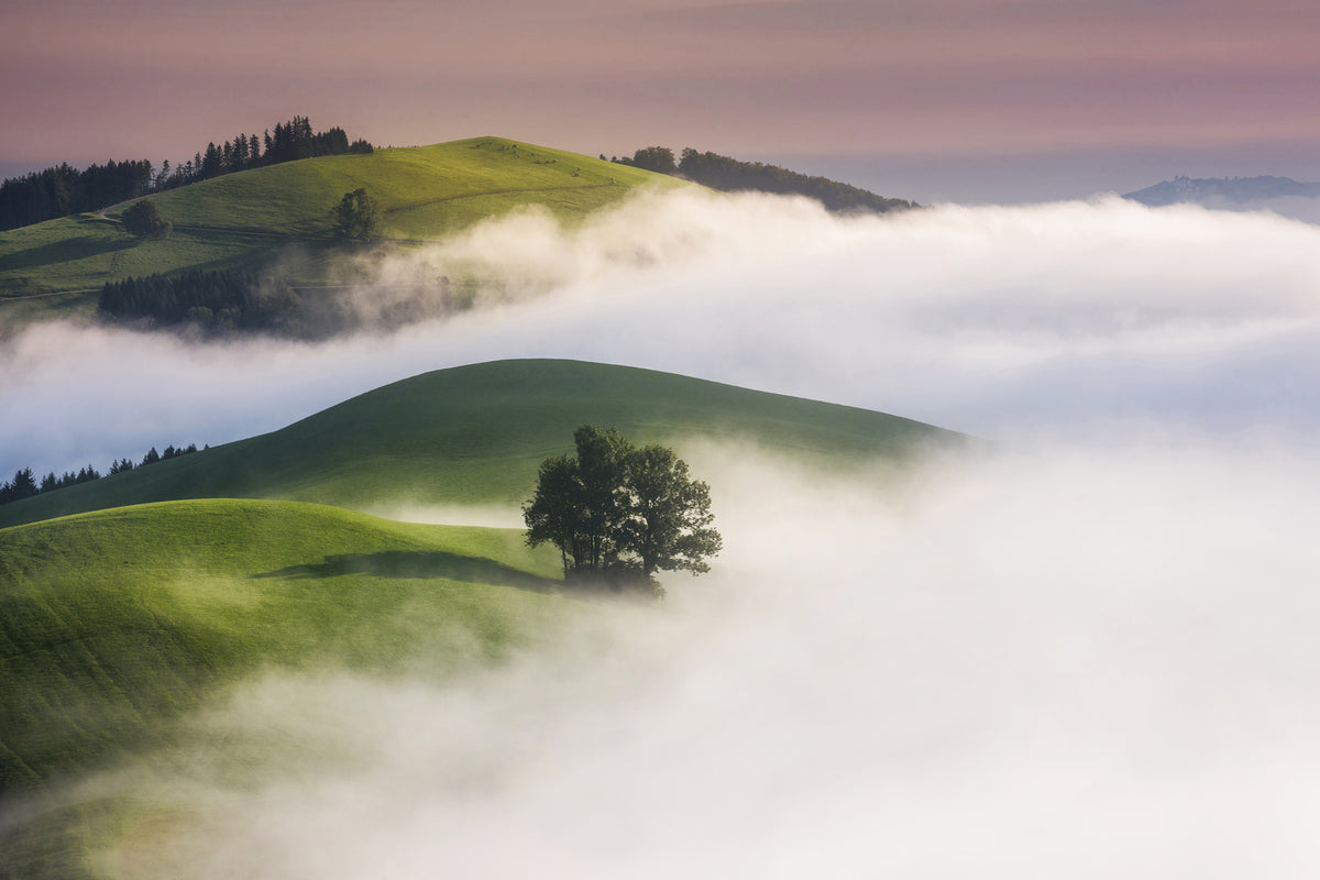 photo-wallpaper-green-hills-x