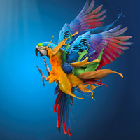 photo-wallpaper-flying-colours