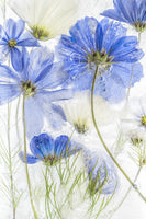 photo-wallpaper-cosmos-blue