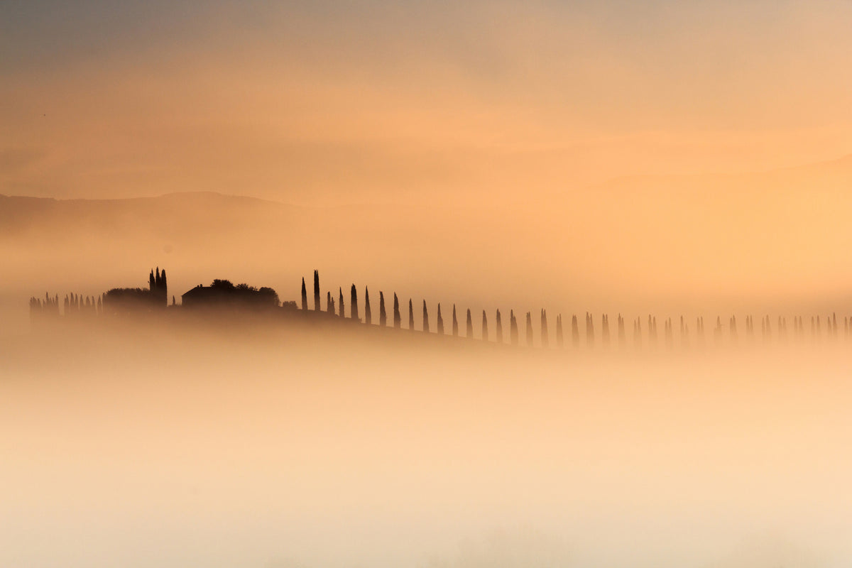 photo-wallpaper-foggy-sunrise-xam