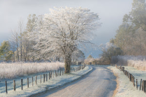 photo-wallpaper-a-frosty-morning