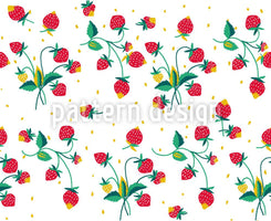 patterned-wallpaper-strawberry-fields-forever