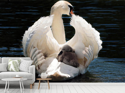 photo-wallpaper-mom-and-baby-swan