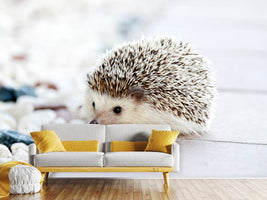 photo-wallpaper-the-hedgehog-baby