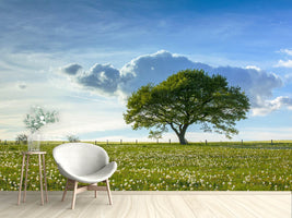 photo-wallpaper-spring-tree