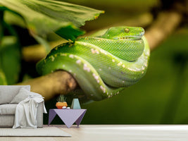 photo-wallpaper-green-snake