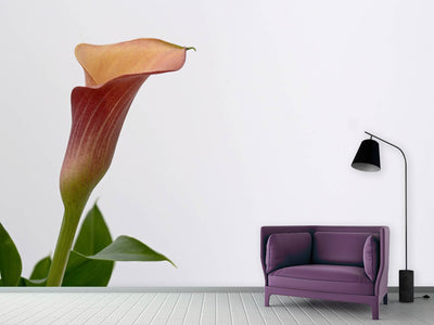 photo-wallpaper-calla-in-xl