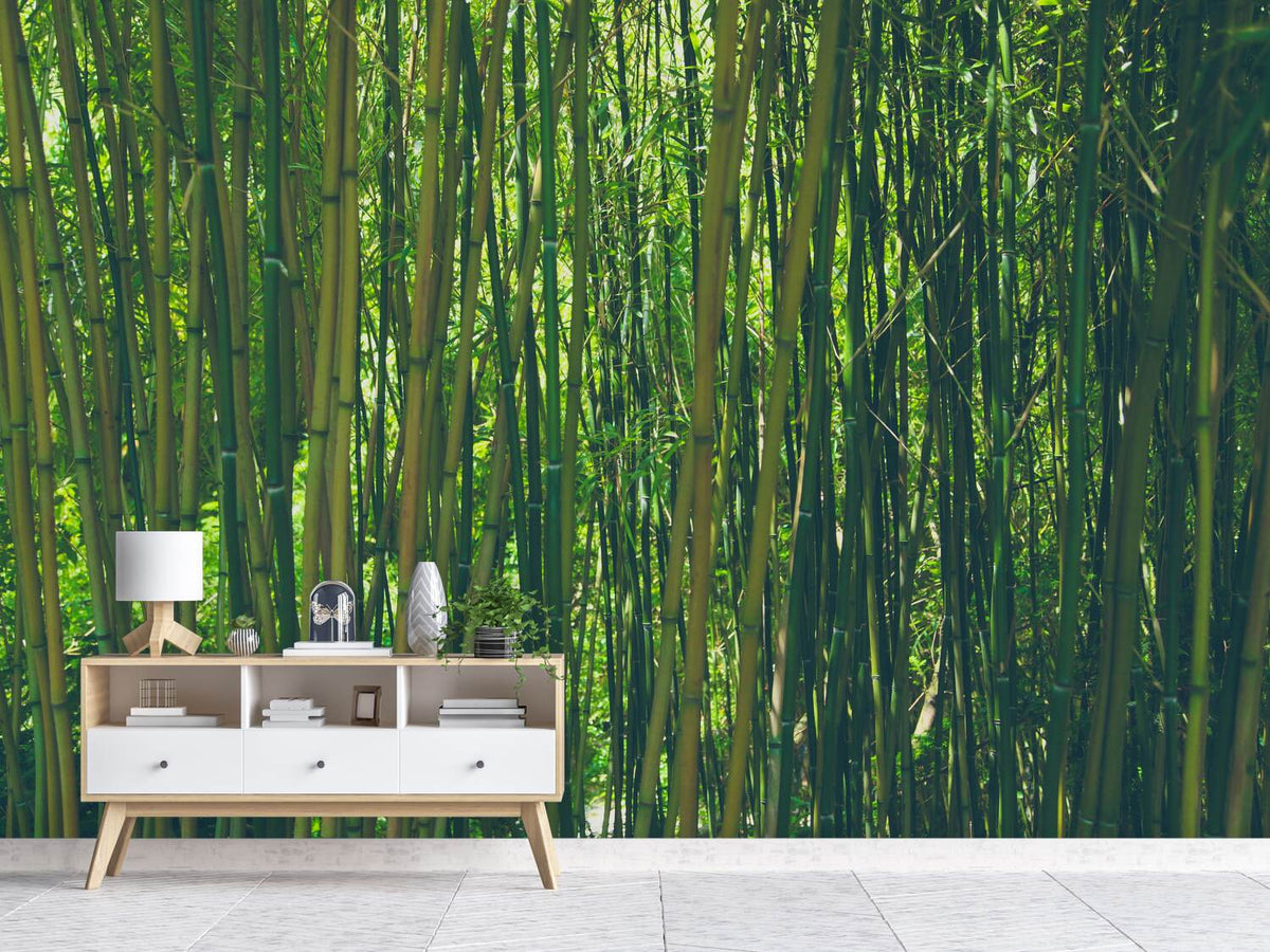 photo-wallpaper-in-the-middle-of-the-bamboo