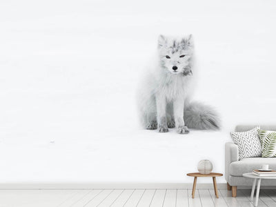 photo-wallpaper-arctic-fox-xjg