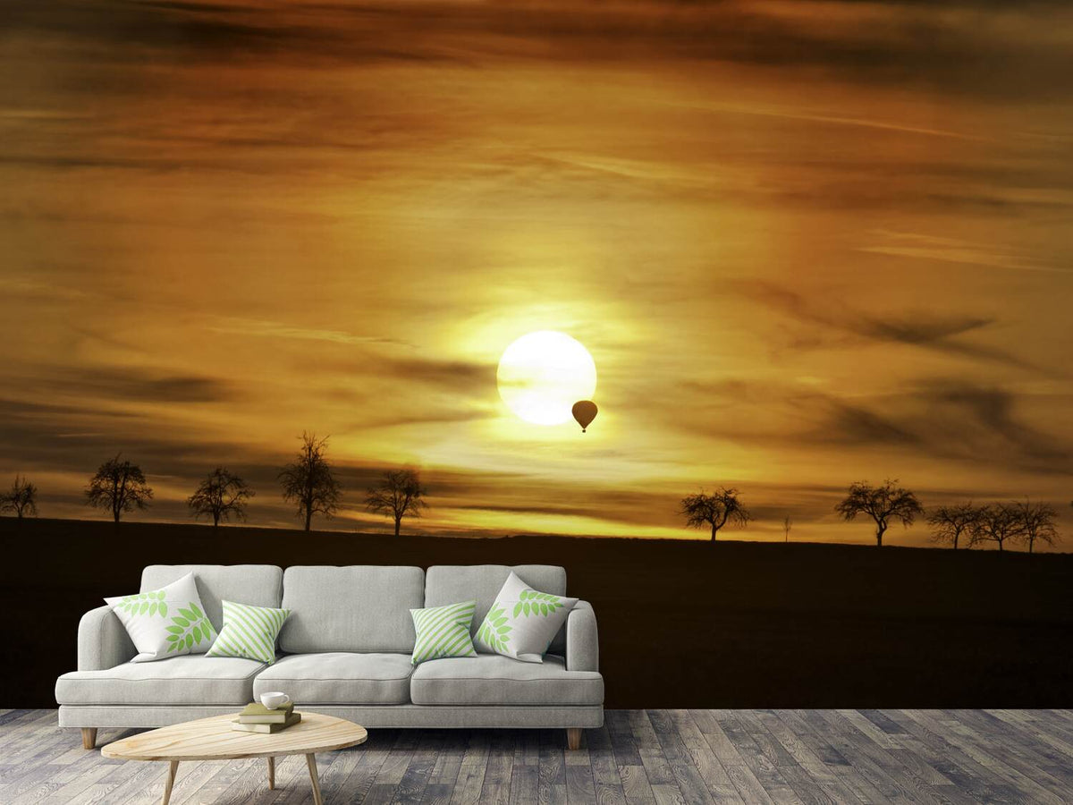 photo-wallpaper-sunset-with-hot-air-balloon