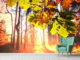 photo-wallpaper-autumn