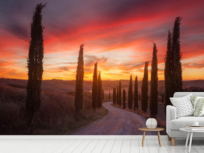 photo-wallpaper-tuscany-sunset