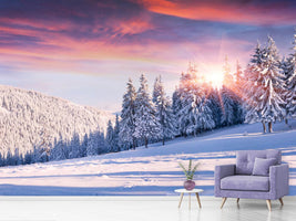 photo-wallpaper-winter-landscape