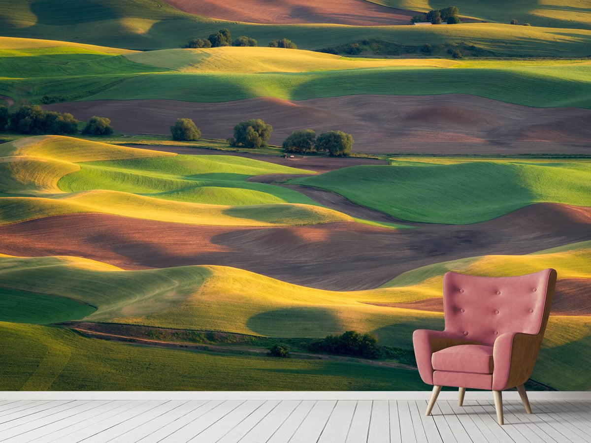 photo-wallpaper-colorful-palouse-x