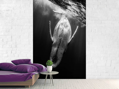 photo-wallpaper-black-whale